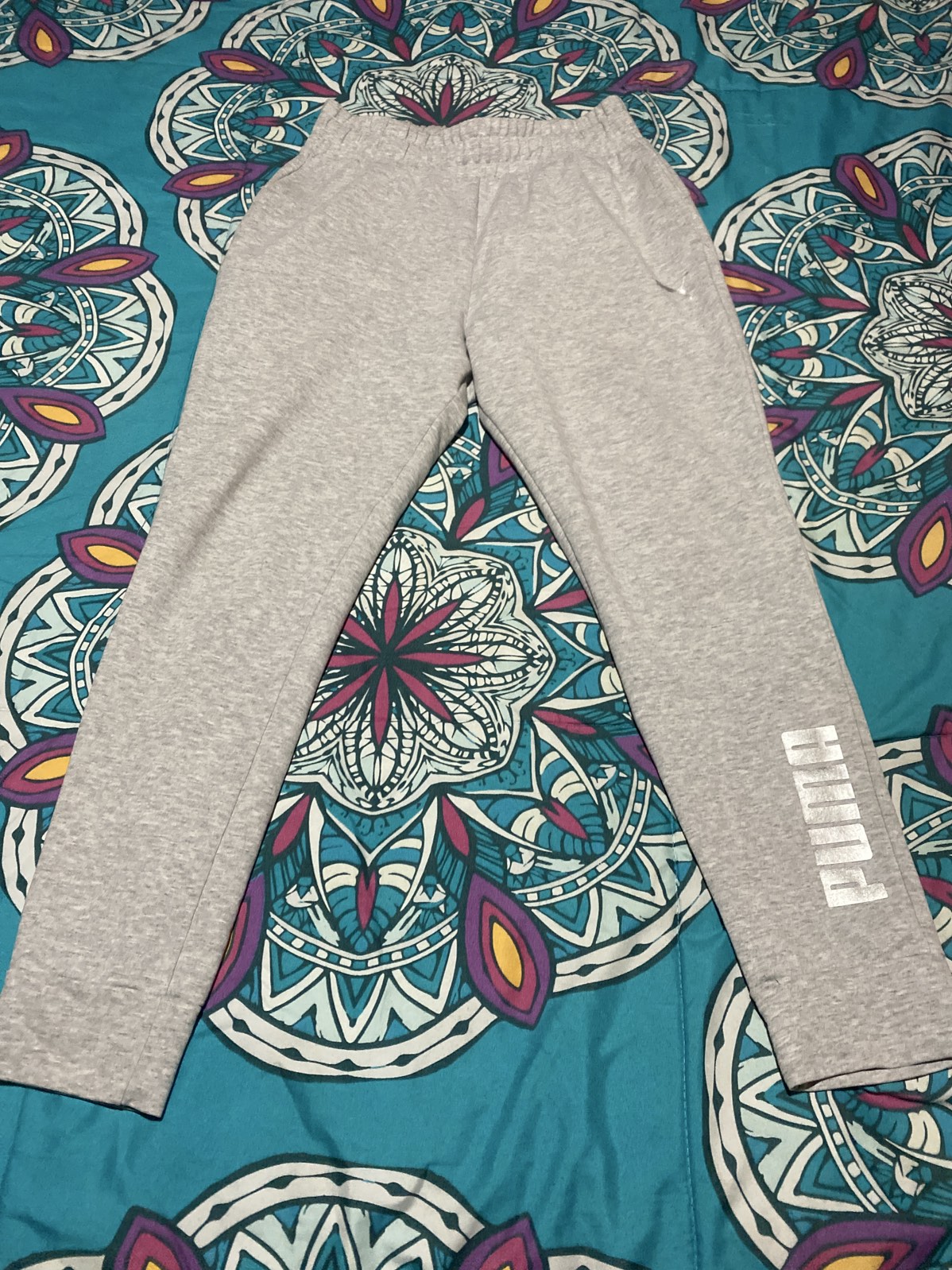 Buzo Puma