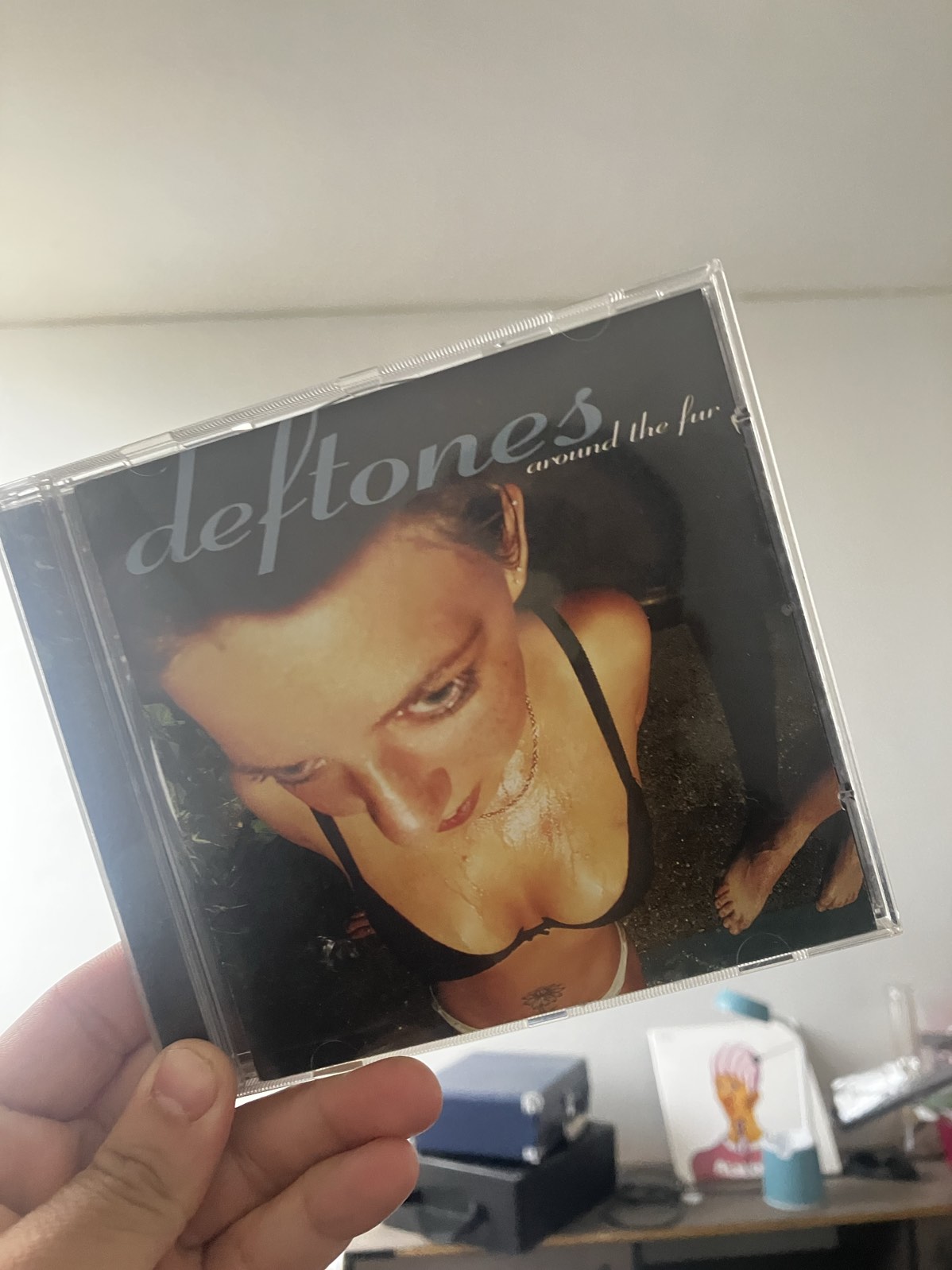 Deftones Around The Fur