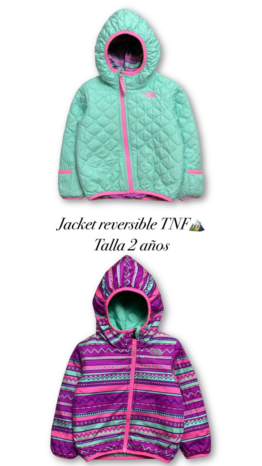 Chaqueta The North Face